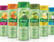 Dabur International enters premium hair care range with Vatika Ayurveda