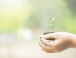 B Corp Beauty Coalition formed to improve sustainability in the beauty industry