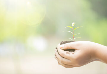B Corp Beauty Coalition formed to improve sustainability in the beauty industry B Corp Beauty Coalition formed to improve sustainability in the beauty industry