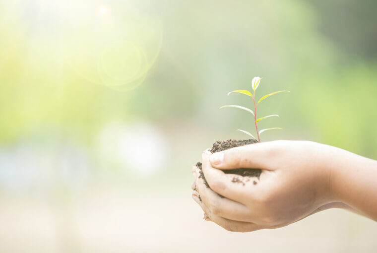 B Corp Beauty Coalition formed to improve sustainability in the beauty industry B Corp Beauty Coalition formed to improve sustainability in the beauty industry